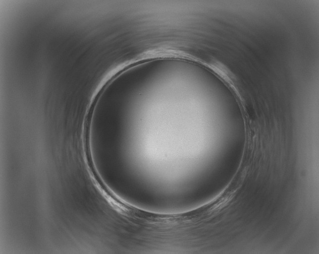 X0000058811438200510031335