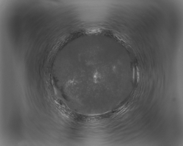 X0000058811441200510031334