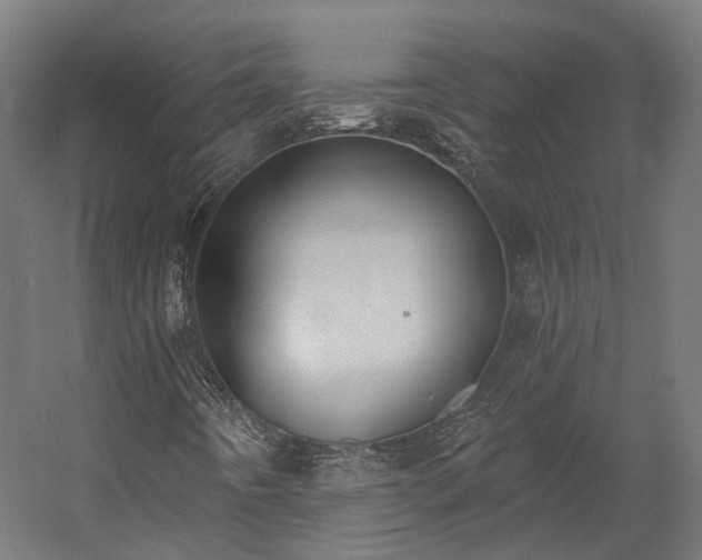 X0000058811442200510031334