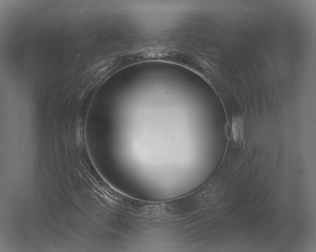 X0000058811444200510031334