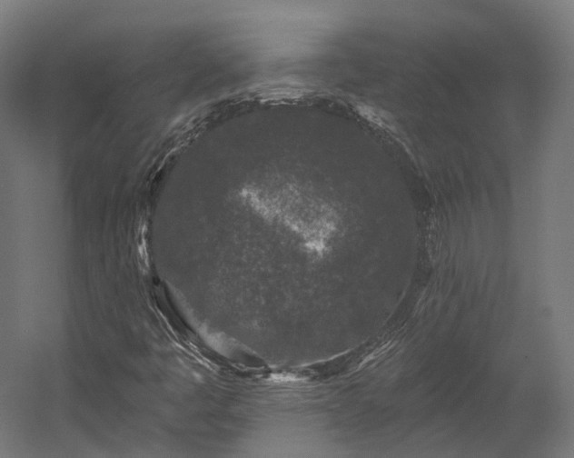 X0000058811445200510031334