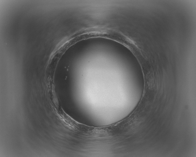 X0000058811448200510031334