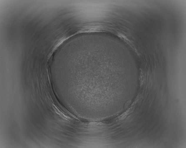 X0000058811449200510031334