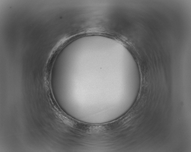 X0000058811454200510031334