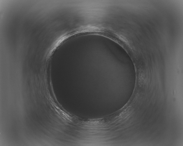 X0000058811455200510031334