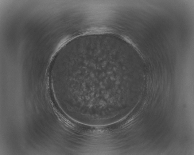 X0000058811459200510031334