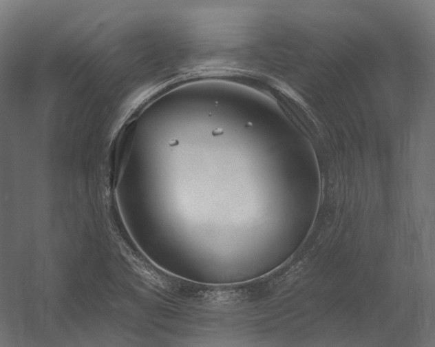 X0000058811461200510031334