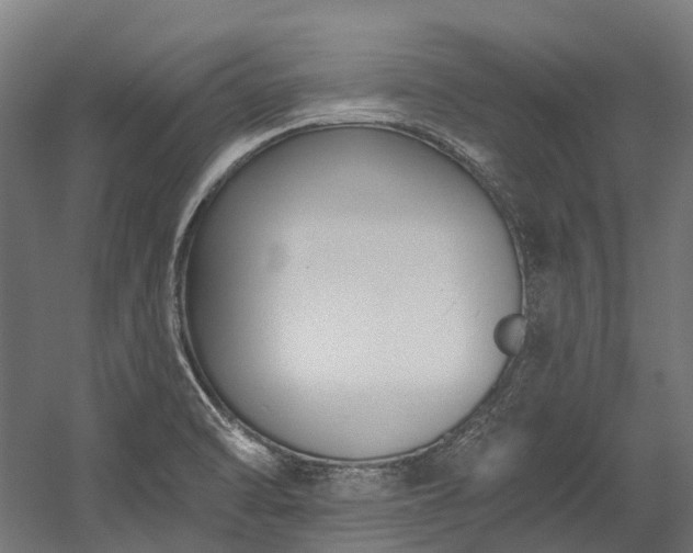 X0000058811470200510031334