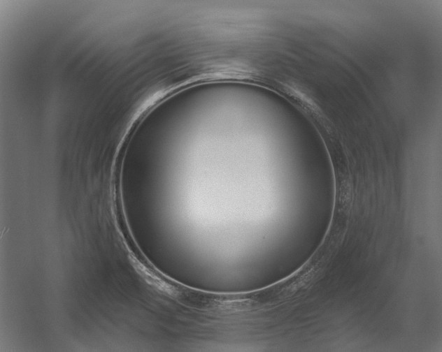 X0000058811471200510031334