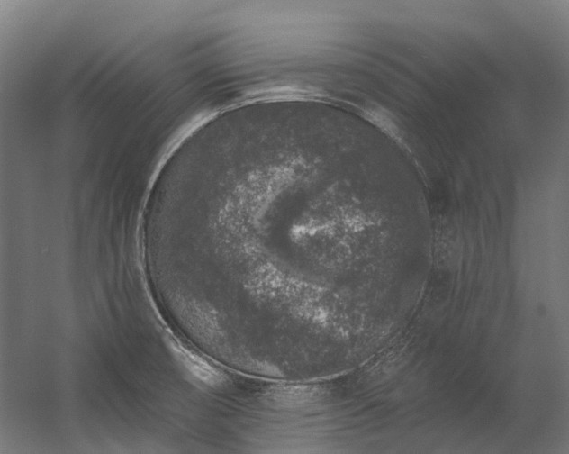 X0000058811474200510031334