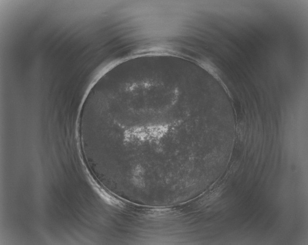 X0000058811482200510031333