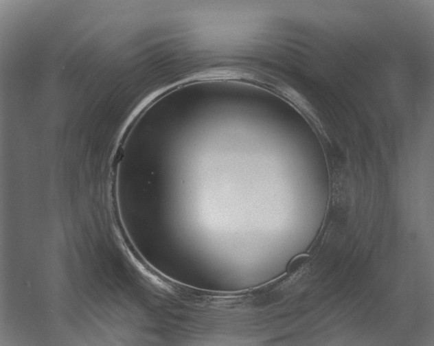 X0000058811484200510031333