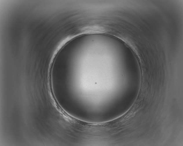 X0000058811488200510031333