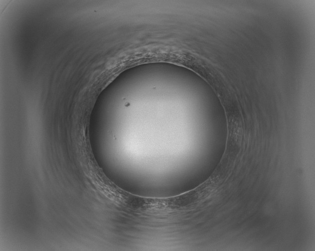 X0000058811489200510031332