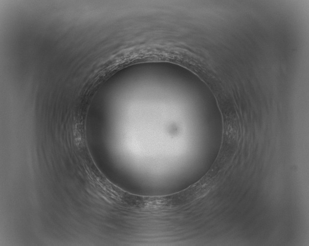 X0000058811490200510031332