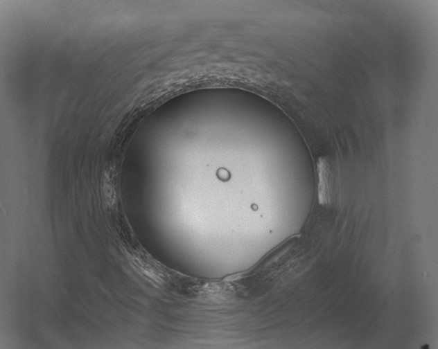 X0000058811491200510031332