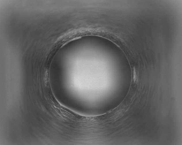 X0000058811492200510031332