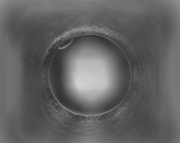 X0000058811494200510031333