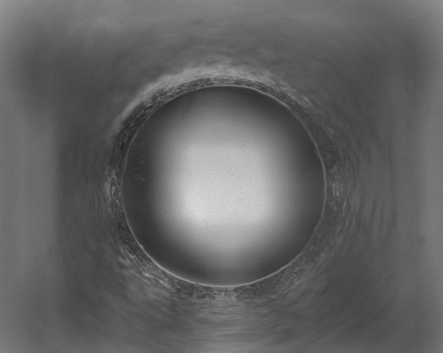 X0000058811495200510031333