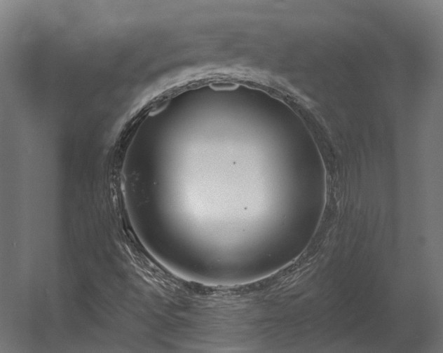 X0000058811496200510031333