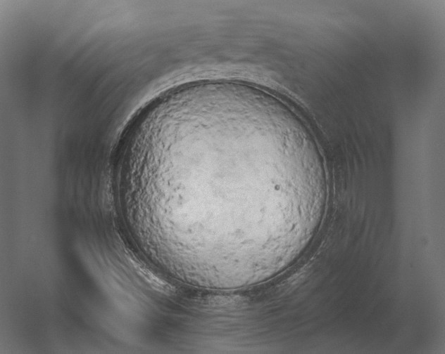 X0000058811498200510031333