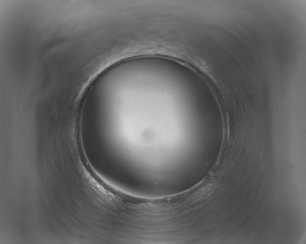 X0000058811500200510031333