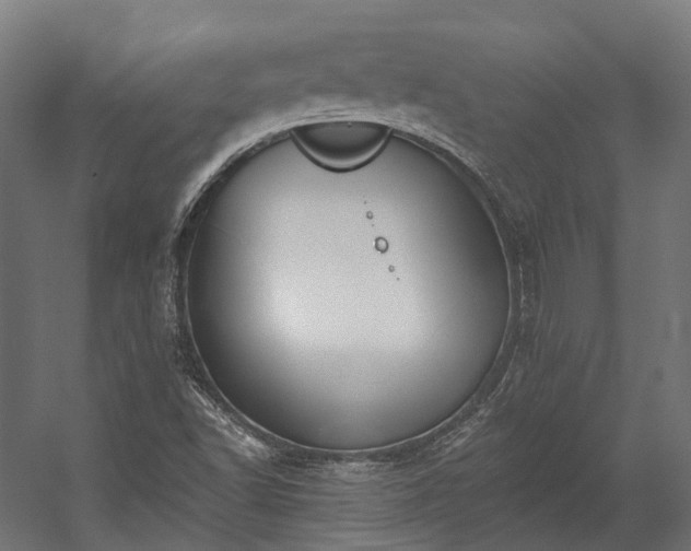 X0000058811502200510031333