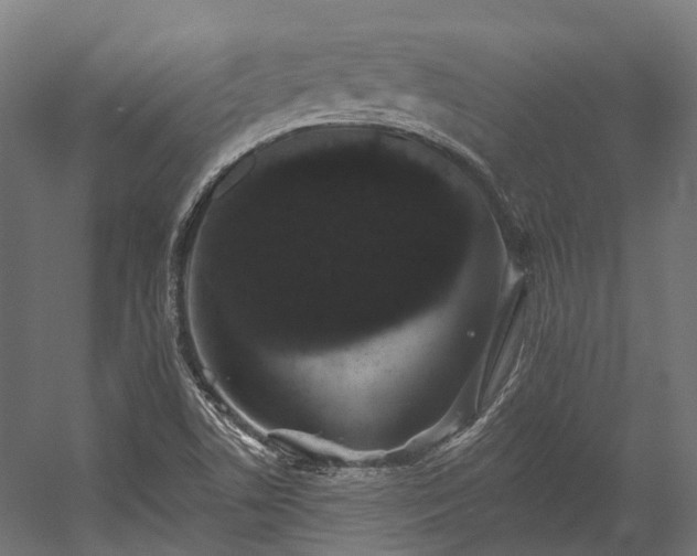 X0000058811506200510031333