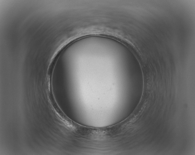 X0000058811509200510031333