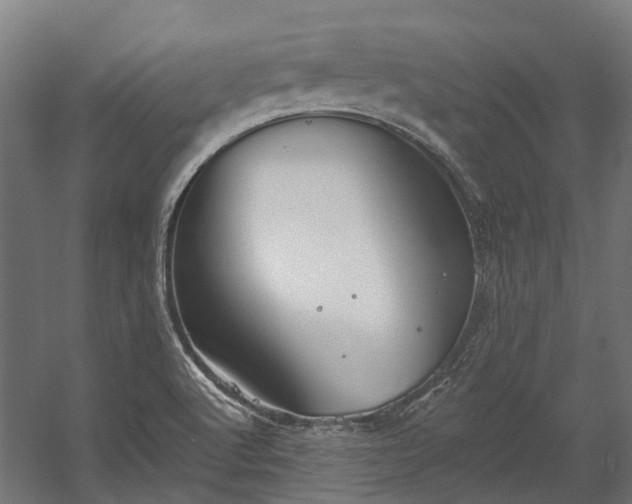 X0000058811512200510031333