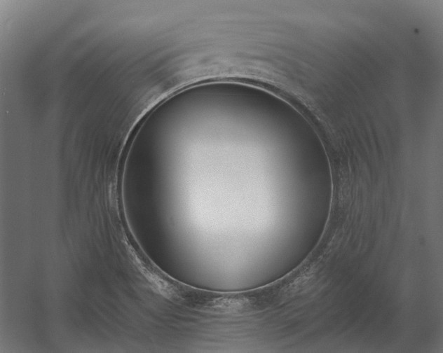 X0000058811513200510031333