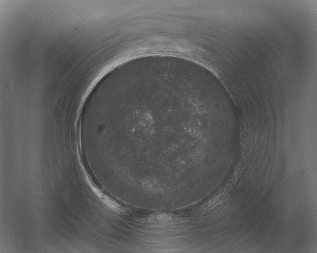 X0000058811515200510031333