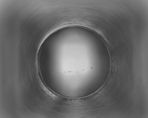 X0000058811516200510031333