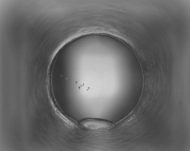 X0000058811518200510031333