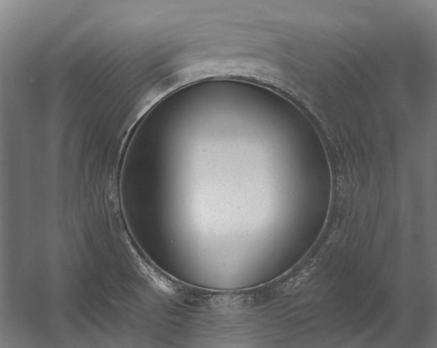 X0000058811521200510031333