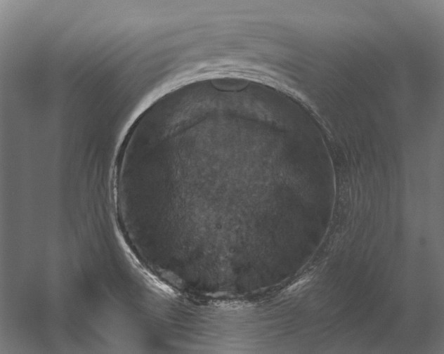 X0000058811522200510031333