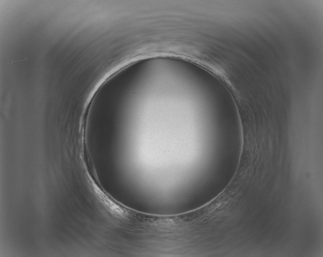 X0000058811524200510031333