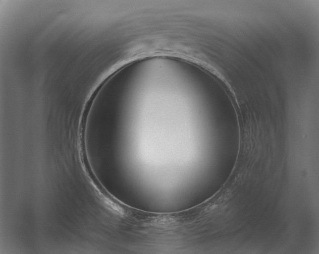 X0000058811525200510031333