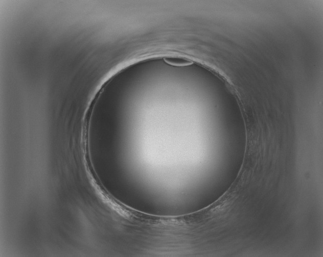 X0000058811526200510031333