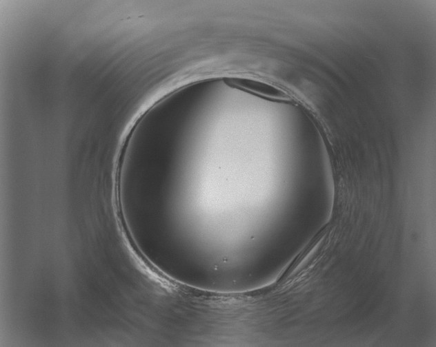 X0000058811528200510031333