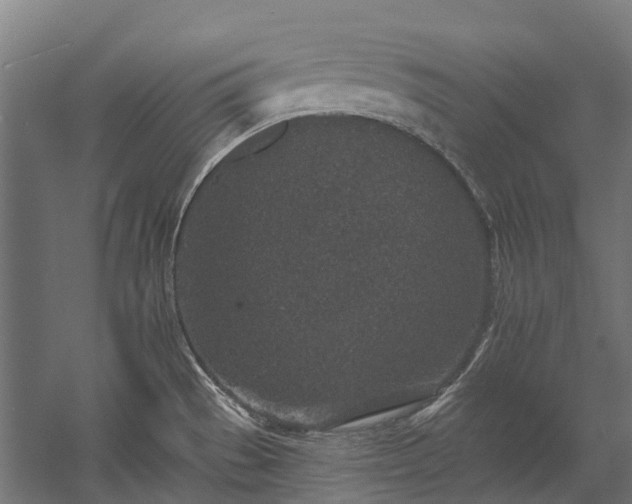 X0000058811529200510031333