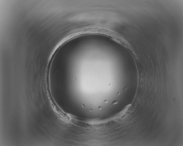 X0000058811530200510031333