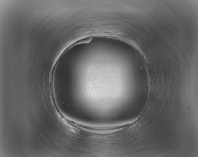 X0000058811532200510031333