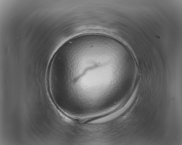 X0000058811533200510031333