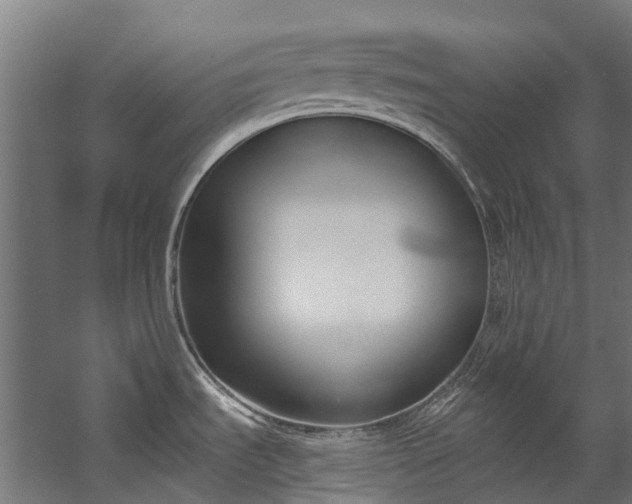 X0000058811535200510031333