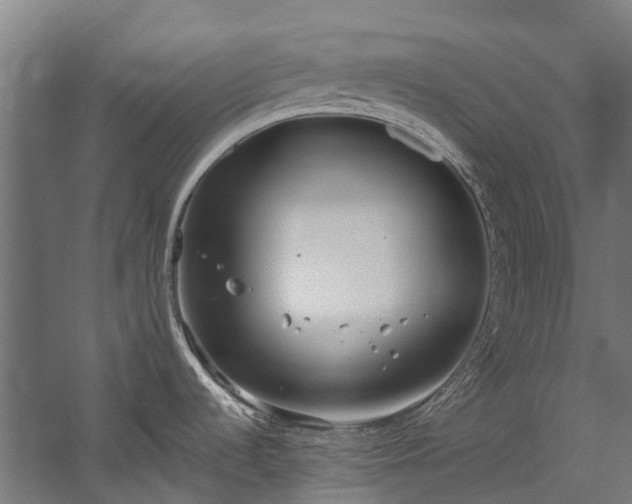 X0000058811536200510031333