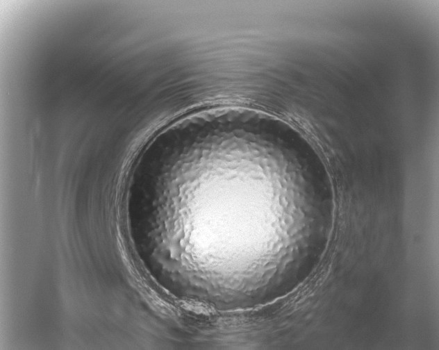 X0000058810145200510071737