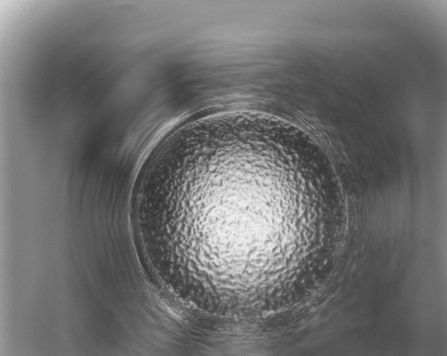 X0000058810147200510071737