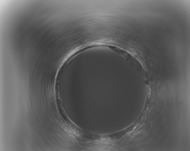 X0000058810196200510071737