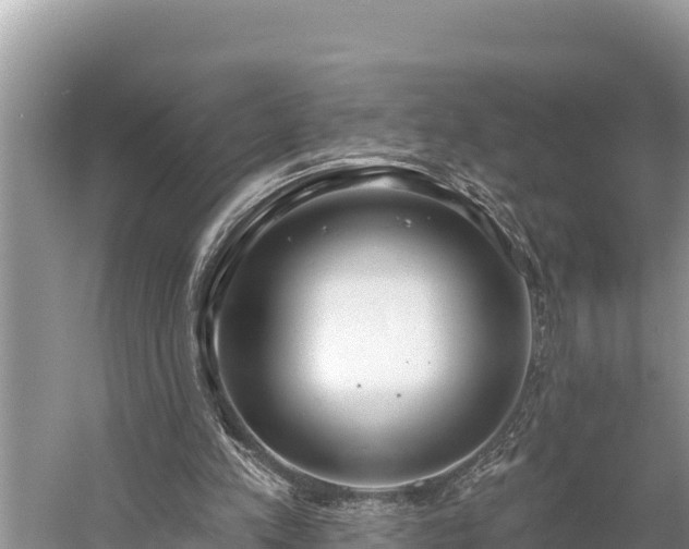 X0000058810197200510071737